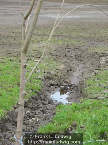 Lough Nasool Drained (2006)